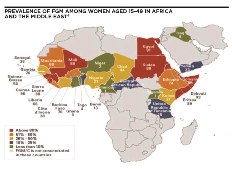 Female genital mutilation: background and approach management ...