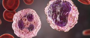 Monocyte and neutrophil surrounded by red blood cells, drug-induced neutropenia
