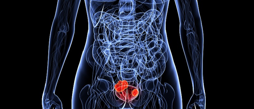 Abstract image of the bladder