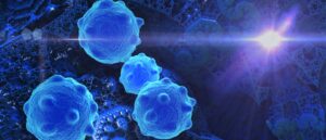 cancer cells