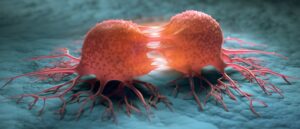 cancer cells
