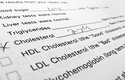 cholesterol small new