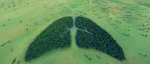 climate change, public health