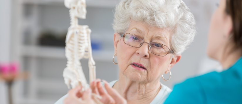 Woman looking at model of skeleton