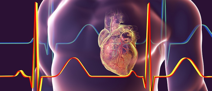 Abstract image of a heart with heart rhythm