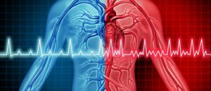diagram of heart, ECG, pulse, atrial fibrillation, AF