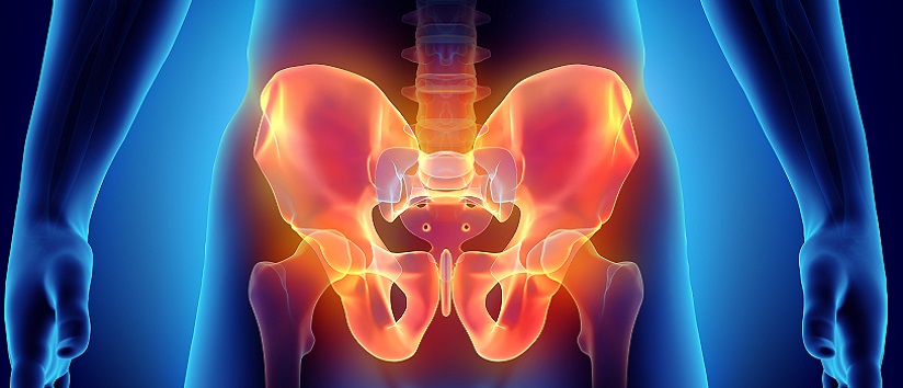Abstract image of a hip, hip fracture, hip replacement