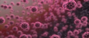 Red blood cells
