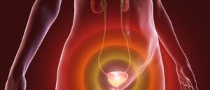 urinary system, urinary incontinence