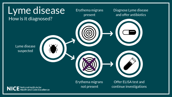 diagnose-lyme-disease-if-bull-s-eye-rash-is-present-says-nice