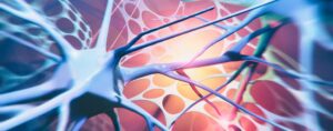 The latest in motor neurone disease