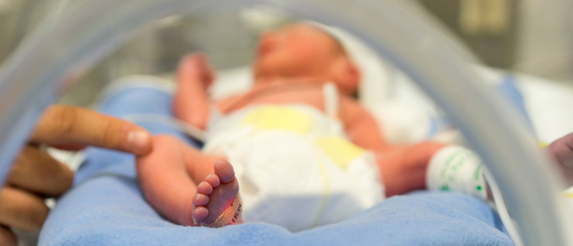 newborn baby in incubator