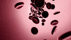 Blood platelets (low) Blood platelets (low)