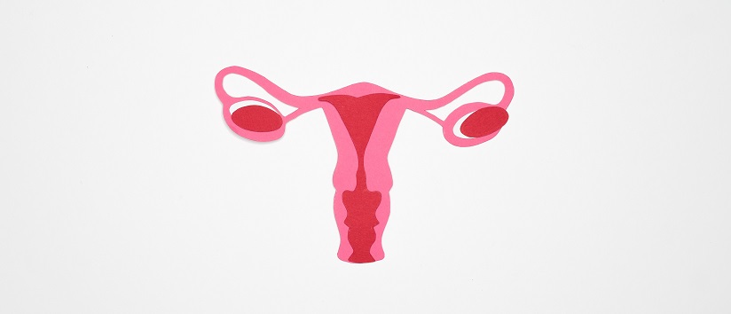 women's reproductive system, endometriosis