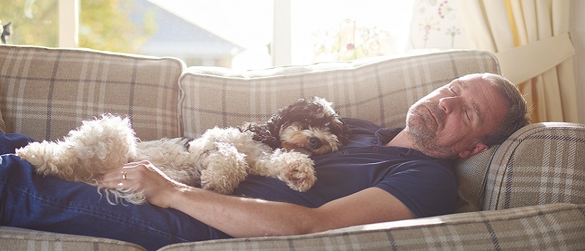 a man has a nap on the couch joined by his little dog