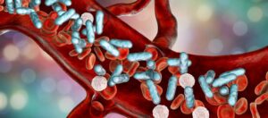 Sepsis, bacteria in blood. 3D illustration showing rod-shaped bacteria with red blood cells and leukocytes