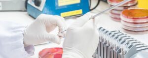 Close up on hand medical technicians working on bacterial culture and drug resistance of pathogens in laboratory.